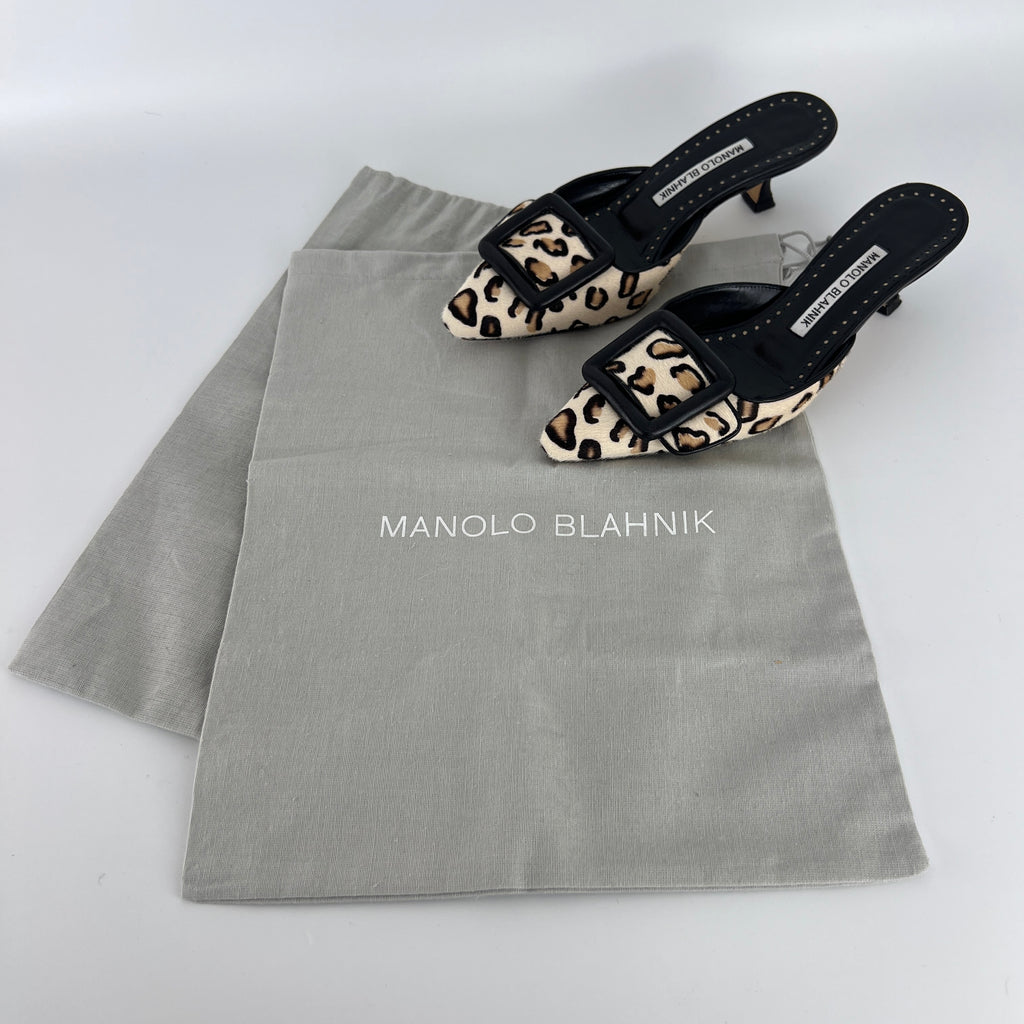 Manolo Blahnik | Maysale Leopard Print Calf Hair Kitten Heel Mules (34.5)
