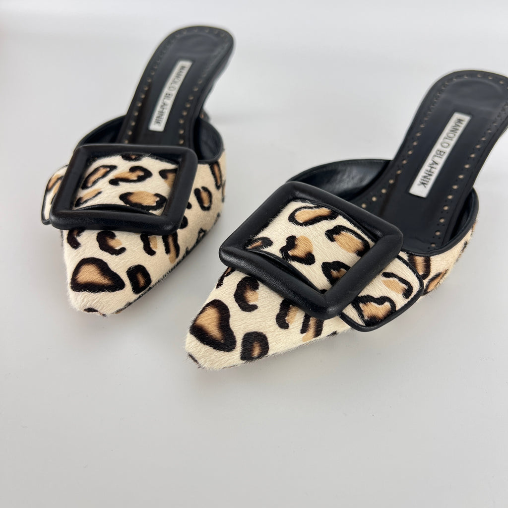 Manolo Blahnik | Maysale Leopard Print Calf Hair Kitten Heel Mules (34.5)