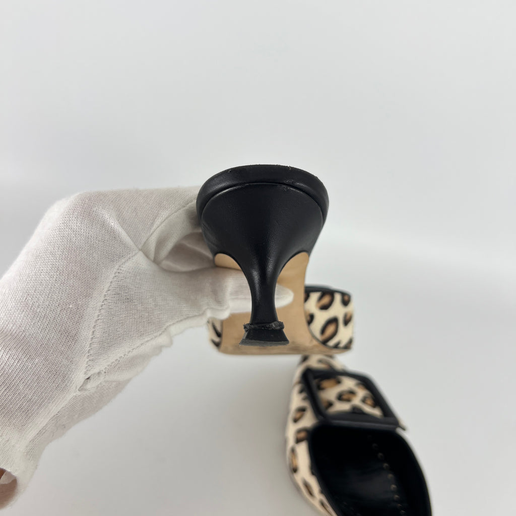 Manolo Blahnik | Maysale Leopard Print Calf Hair Kitten Heel Mules (34.5)