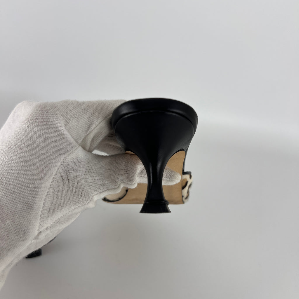 Manolo Blahnik | Maysale Leopard Print Calf Hair Kitten Heel Mules (34.5)
