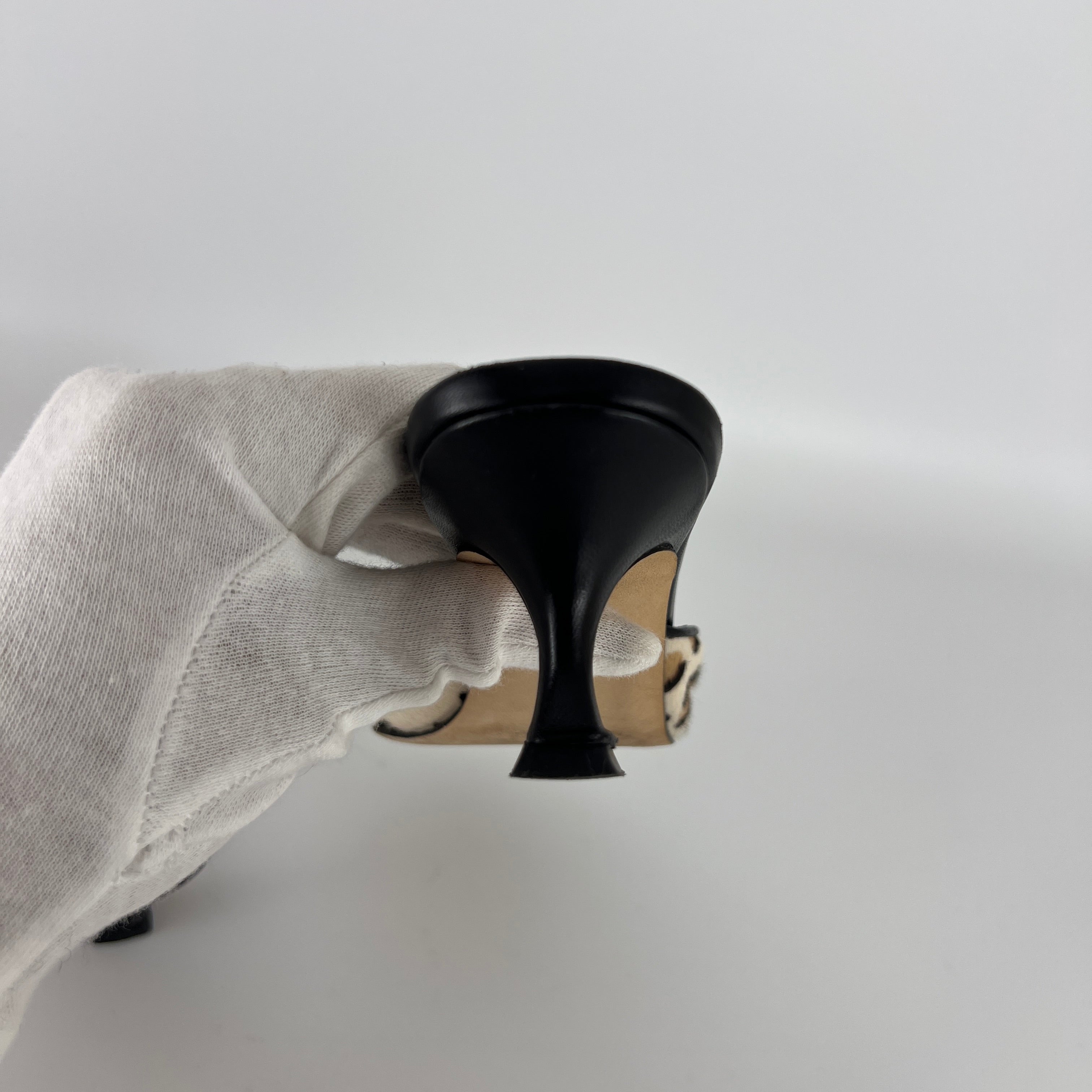 Manolo Blahnik | Maysale Leopard Print Calf Hair Kitten Heel Mules (34.5)