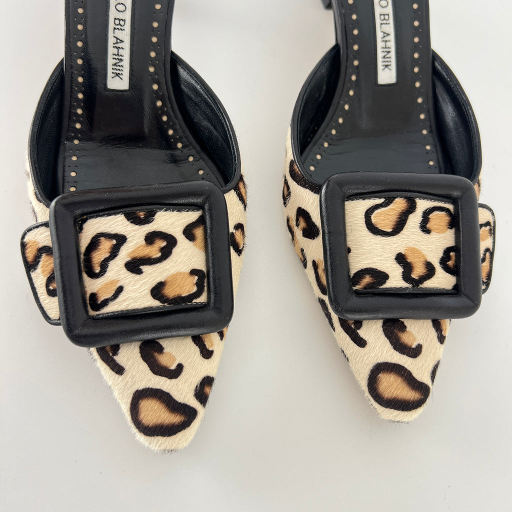 Manolo Blahnik | Maysale Leopard Print Calf Hair Kitten Heel Mules (34.5)