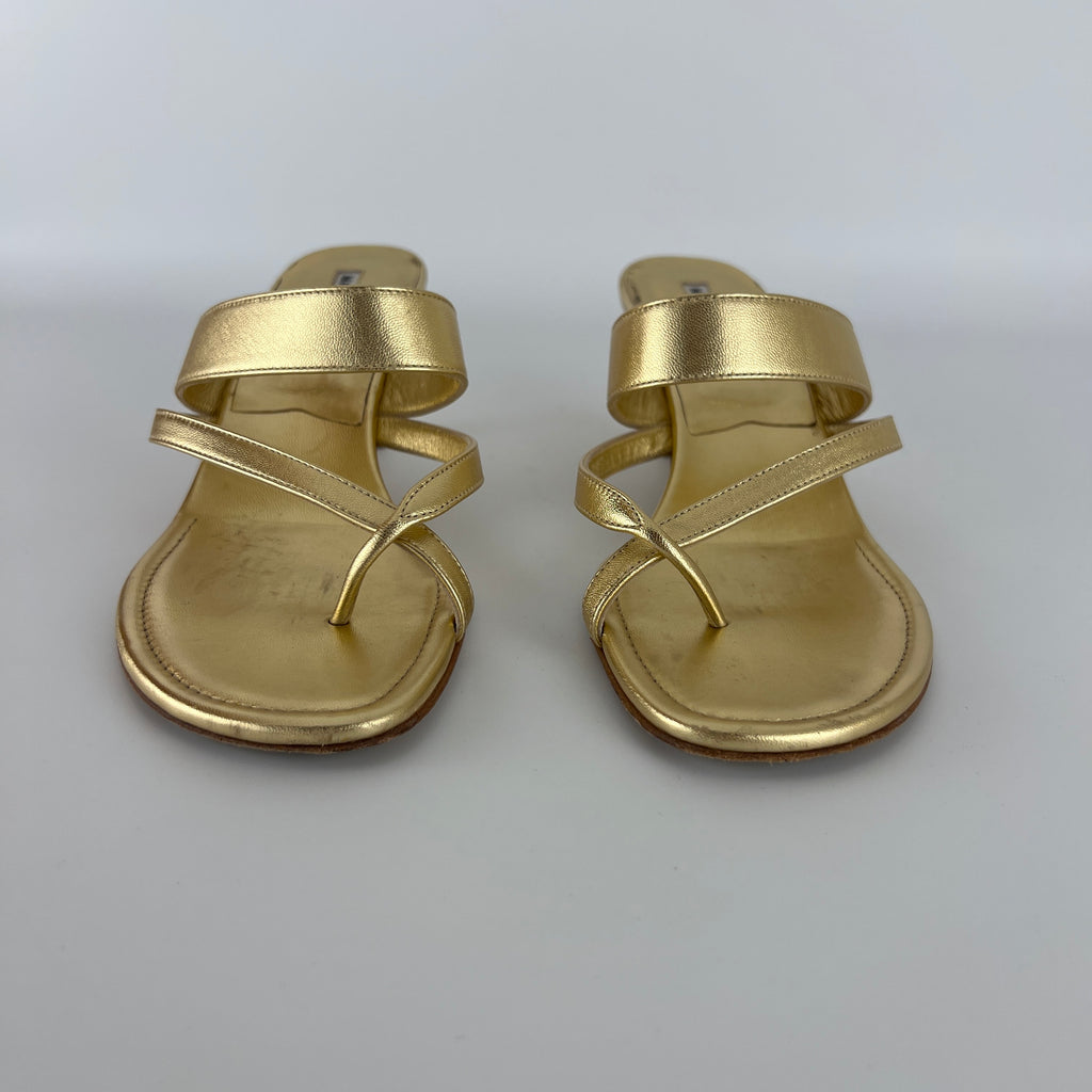Manolo Blahnik | Susa 50 Metallic Gold Leather Thong Strappy Sandal (37)