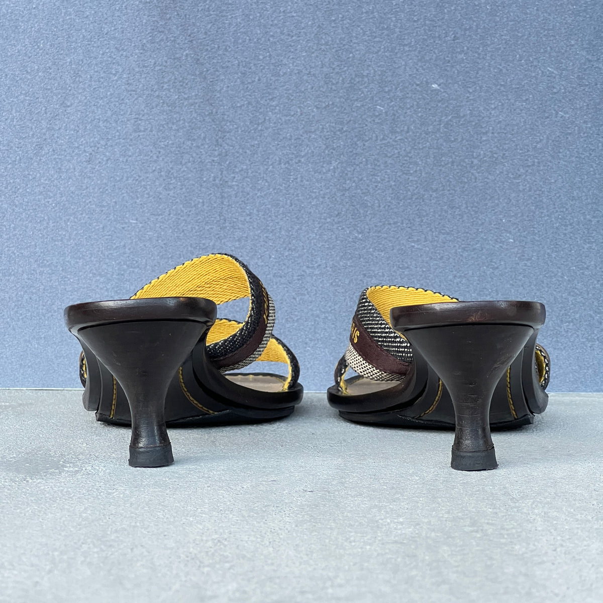 Louis Vuitton | Canvas Logo Strap LV Button Kitten Heel Slide Mules (37)