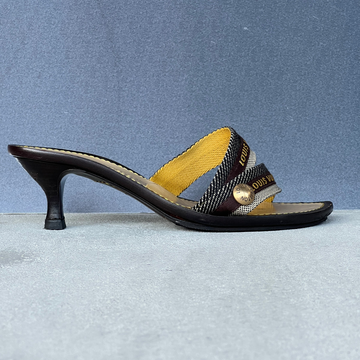 Louis Vuitton | Canvas Logo Strap LV Button Kitten Heel Slide Mules (37)