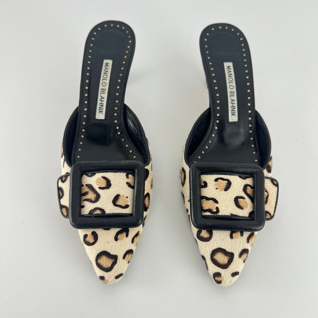 Manolo Blahnik | Calf Hair Leopard Print Black Buckle Maysale Pointed Toe Mules (35)