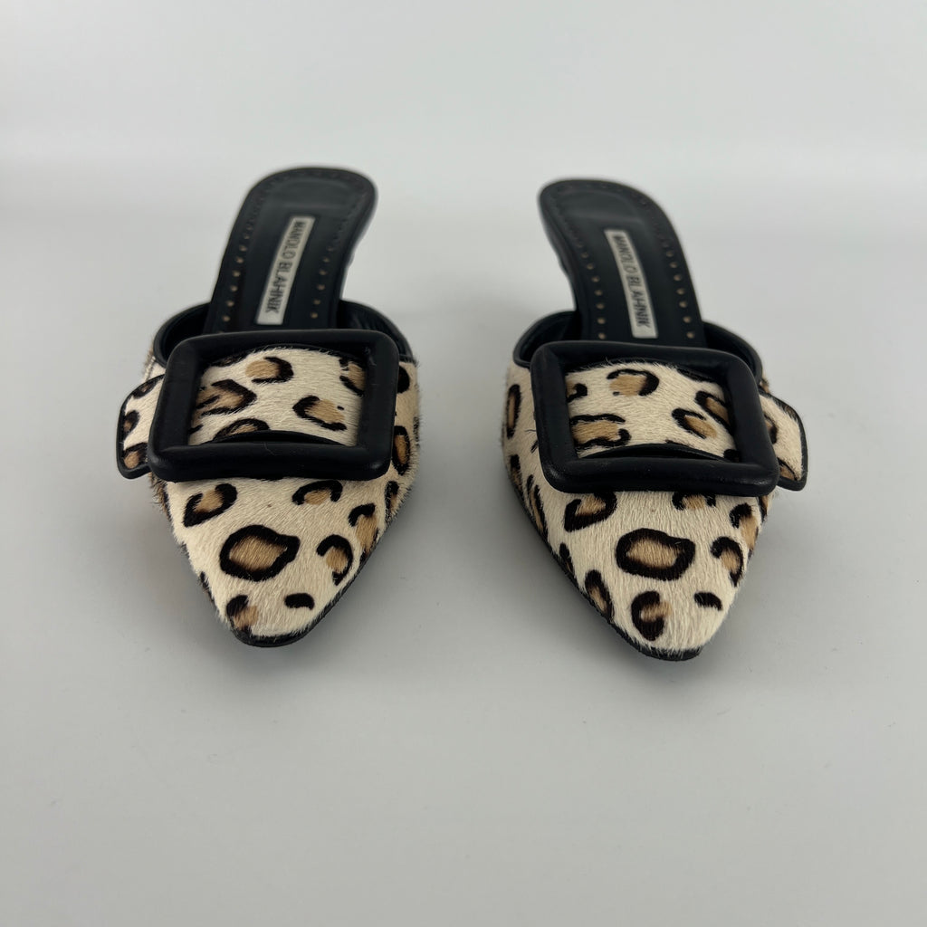Manolo Blahnik | Calf Hair Leopard Print Black Buckle Maysale Pointed Toe Mules (35)