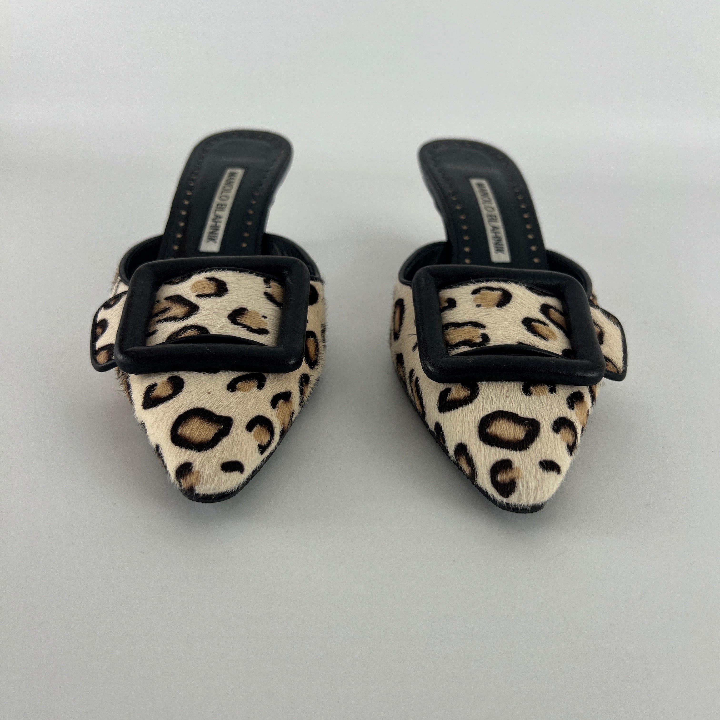 Manolo Blahnik | Calf Hair Leopard Print Black Buckle Maysale Pointed Toe Mules (35)