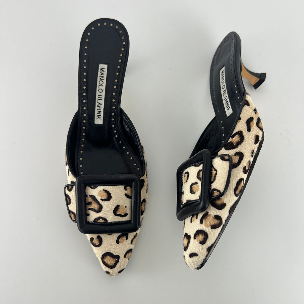 Manolo Blahnik | Calf Hair Leopard Print Black Buckle Maysale Pointed Toe Mules (35)