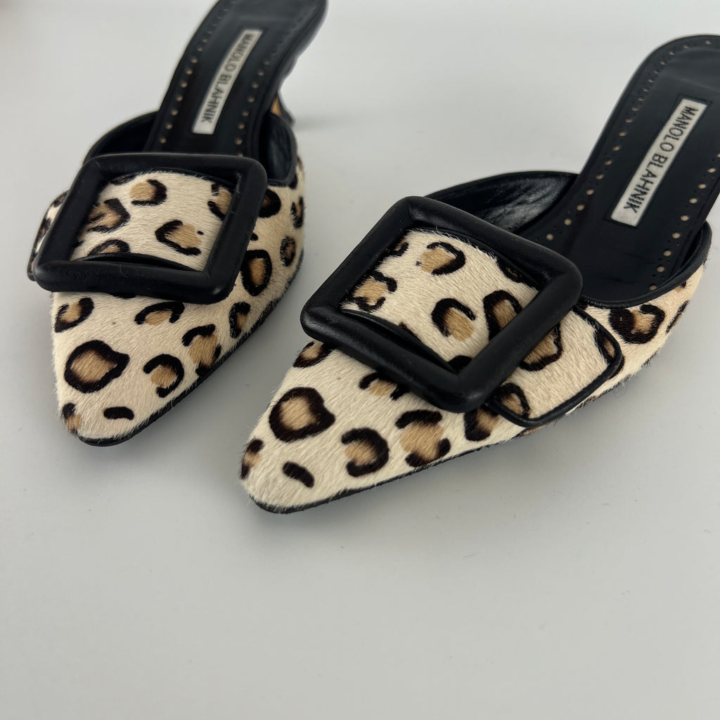 Manolo Blahnik | Calf Hair Leopard Print Black Buckle Maysale Pointed Toe Mules (35)