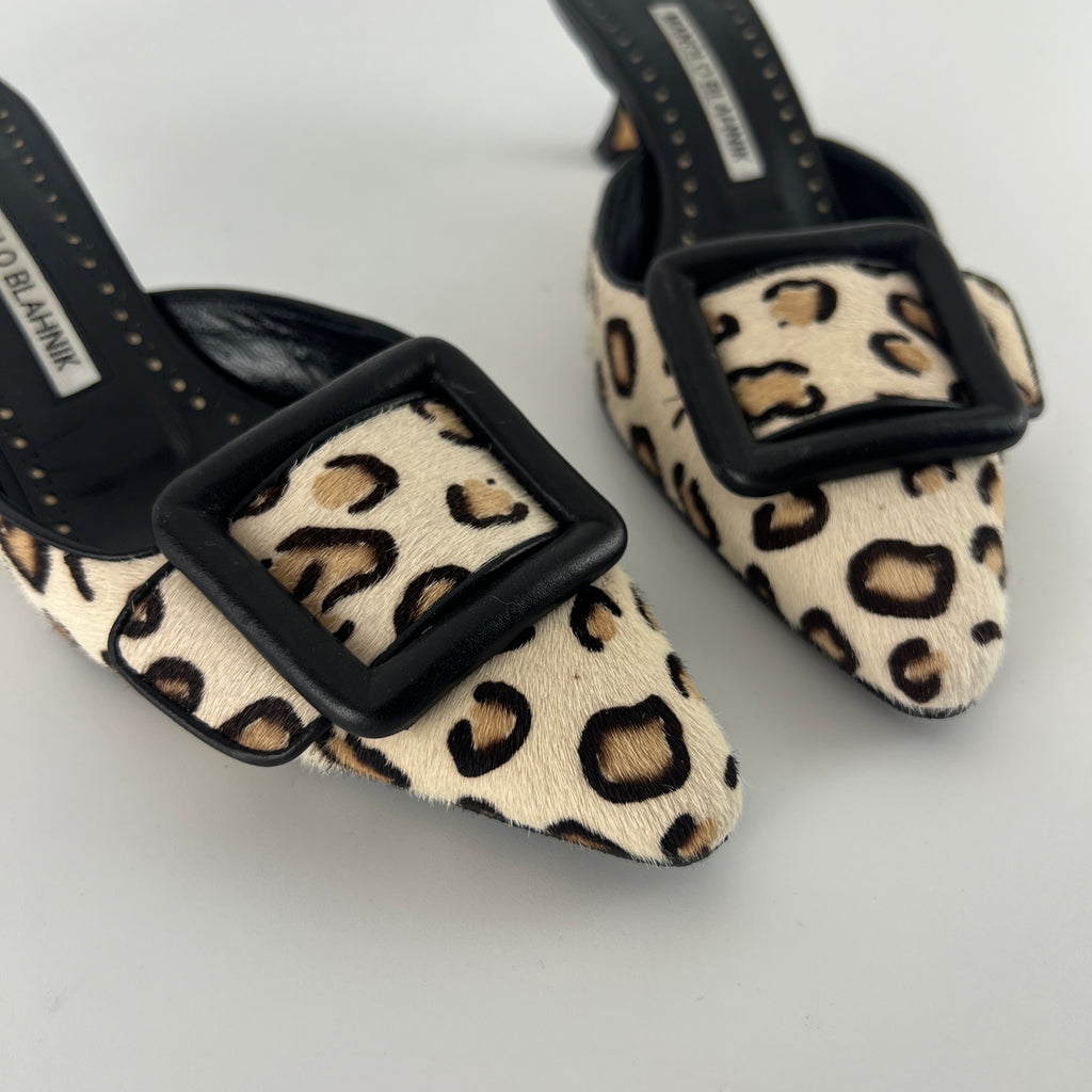 Manolo Blahnik | Calf Hair Leopard Print Black Buckle Maysale Pointed Toe Mules (35)