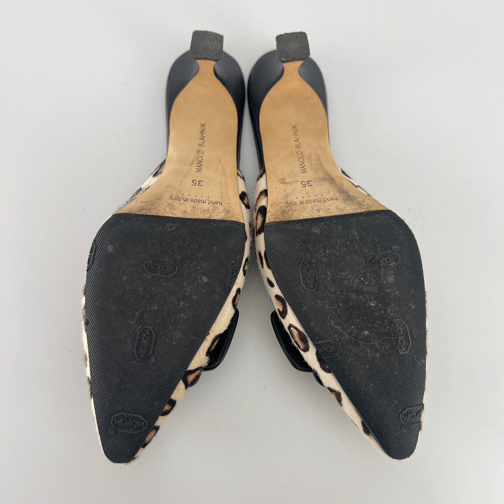 Manolo Blahnik | Calf Hair Leopard Print Black Buckle Maysale Pointed Toe Mules (35)