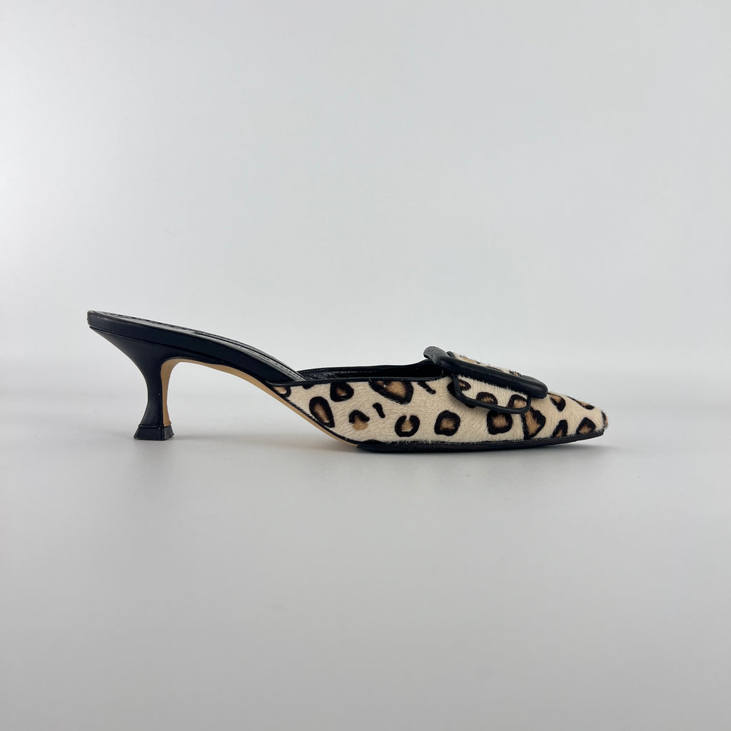 Manolo Blahnik | Calf Hair Leopard Print Black Buckle Maysale Pointed Toe Mules (35)