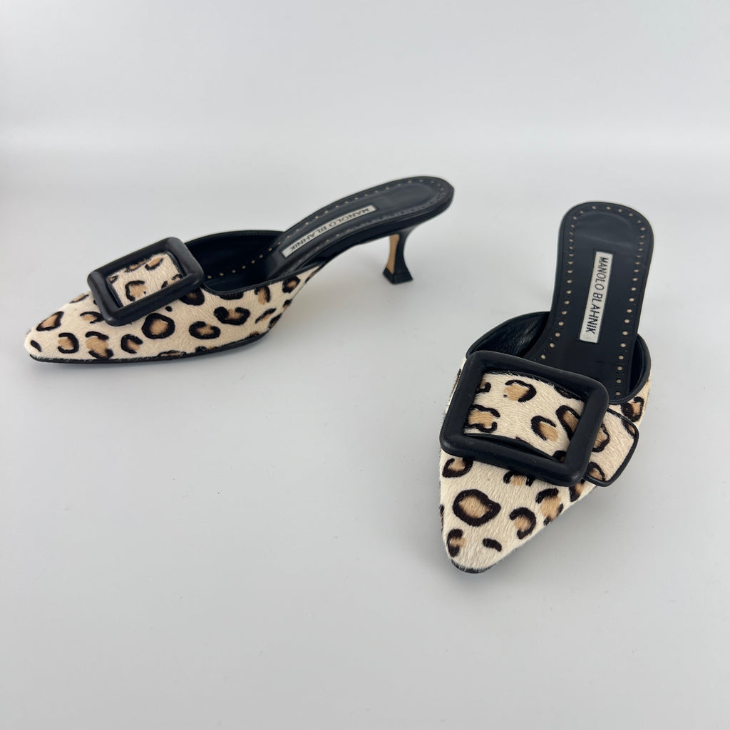 Manolo Blahnik | Calf Hair Leopard Print Black Buckle Maysale Pointed Toe Mules (35)