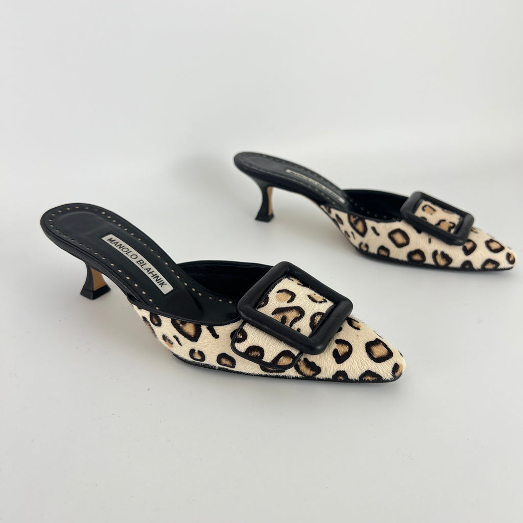Manolo Blahnik | Calf Hair Leopard Print Black Buckle Maysale Pointed Toe Mules (35)