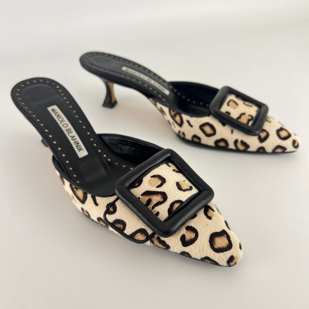 Manolo Blahnik | Calf Hair Leopard Print Black Buckle Maysale Pointed Toe Mules (35)