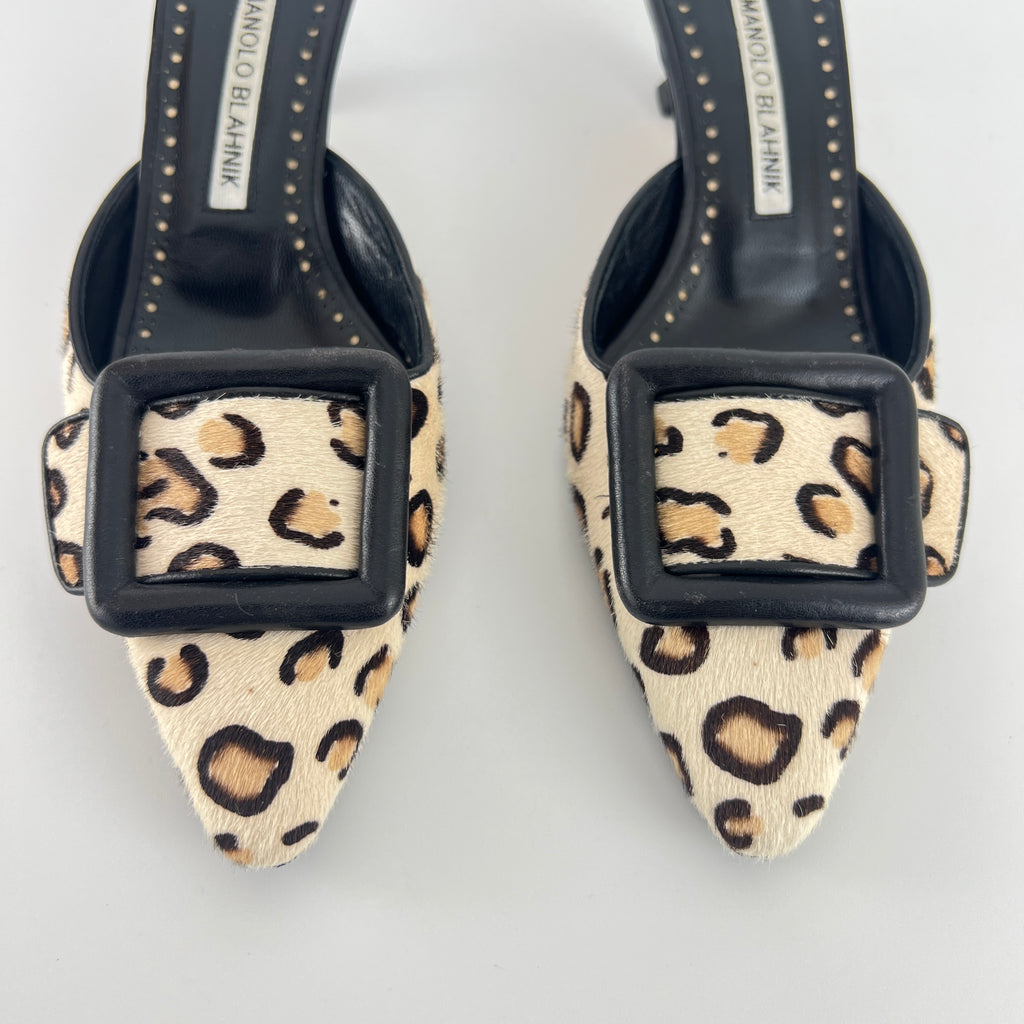 Manolo Blahnik | Calf Hair Leopard Print Black Buckle Maysale Pointed Toe Mules (35)