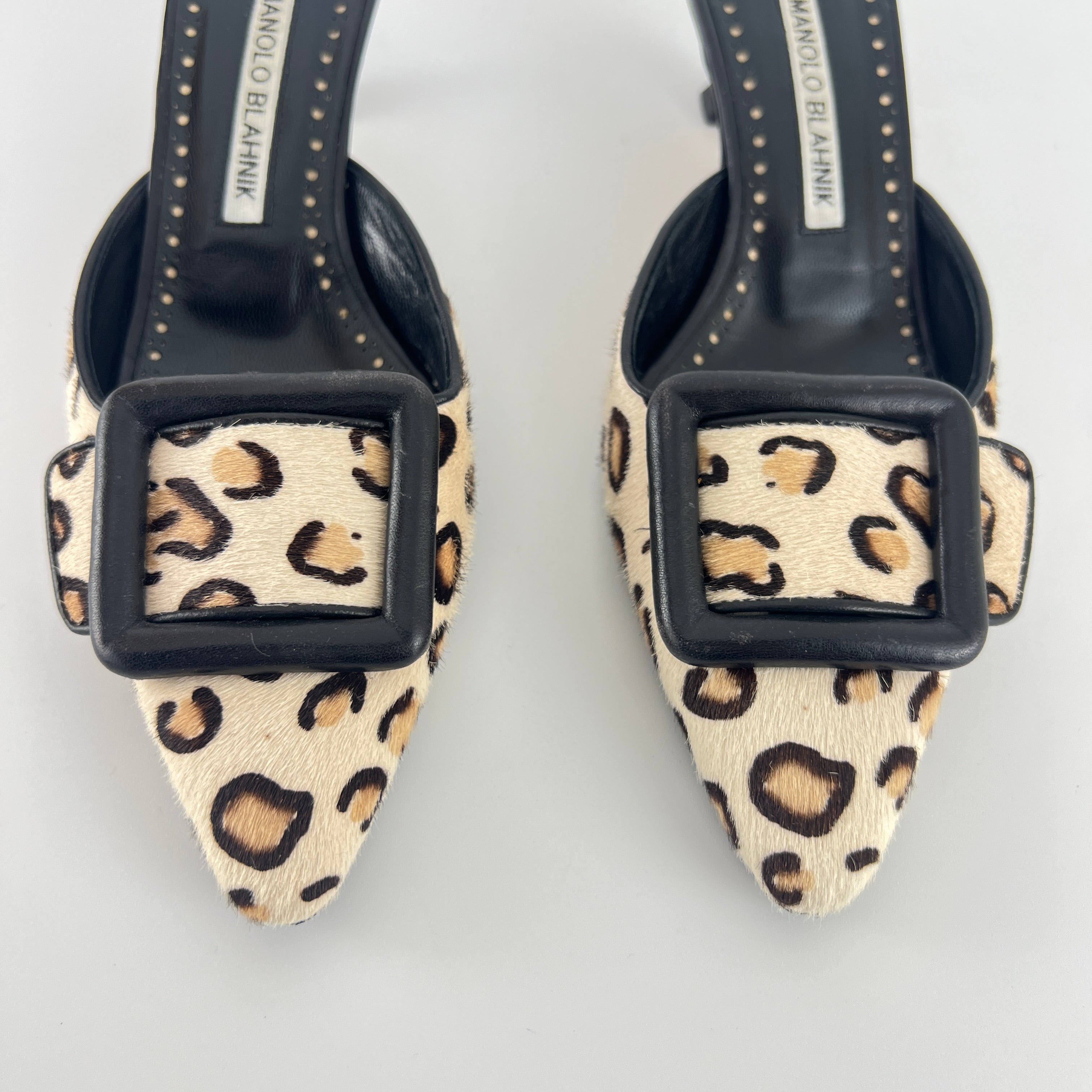 Manolo Blahnik | Calf Hair Leopard Print Black Buckle Maysale Pointed Toe Mules (35)