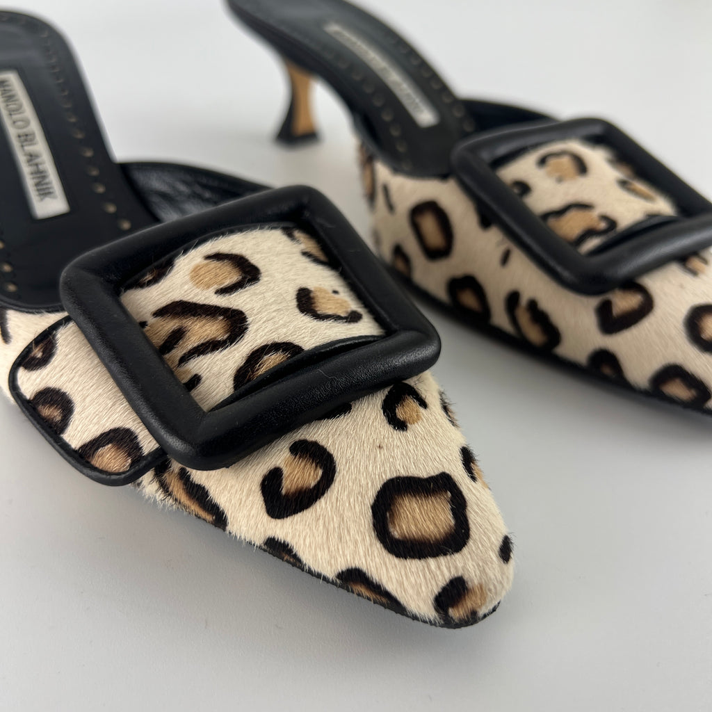 Manolo Blahnik | Calf Hair Leopard Print Black Buckle Maysale Pointed Toe Mules (35)