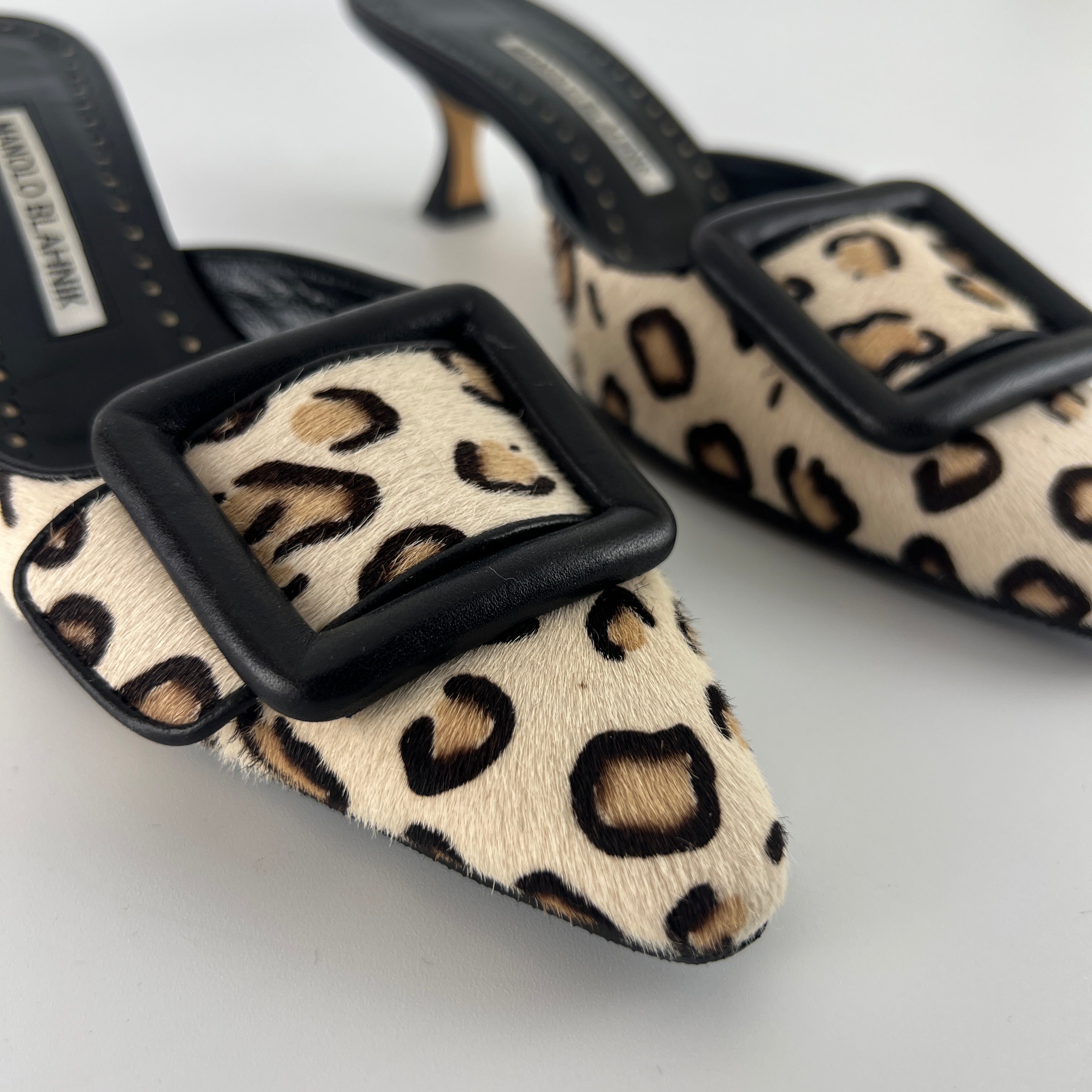 Manolo Blahnik | Calf Hair Leopard Print Black Buckle Maysale Pointed Toe Mules (35)