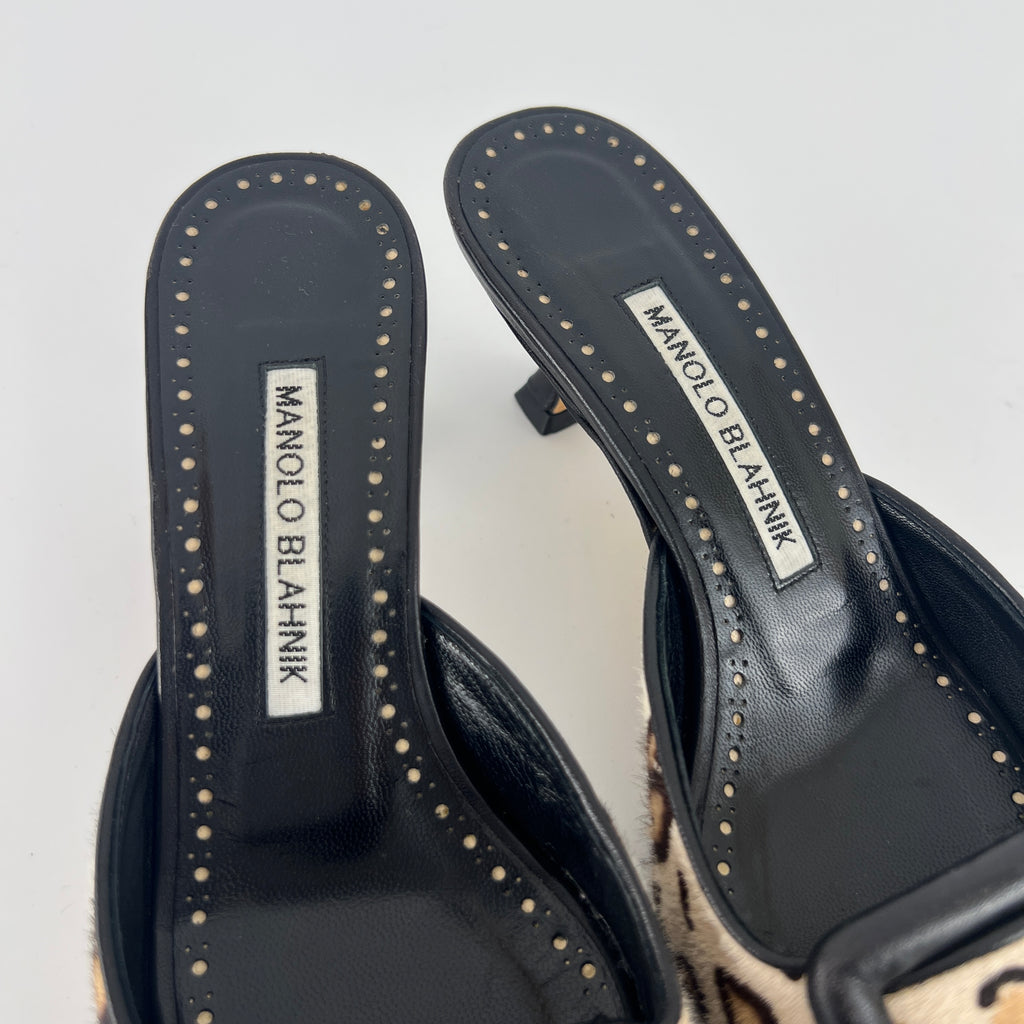 Manolo Blahnik | Calf Hair Leopard Print Black Buckle Maysale Pointed Toe Mules (35)
