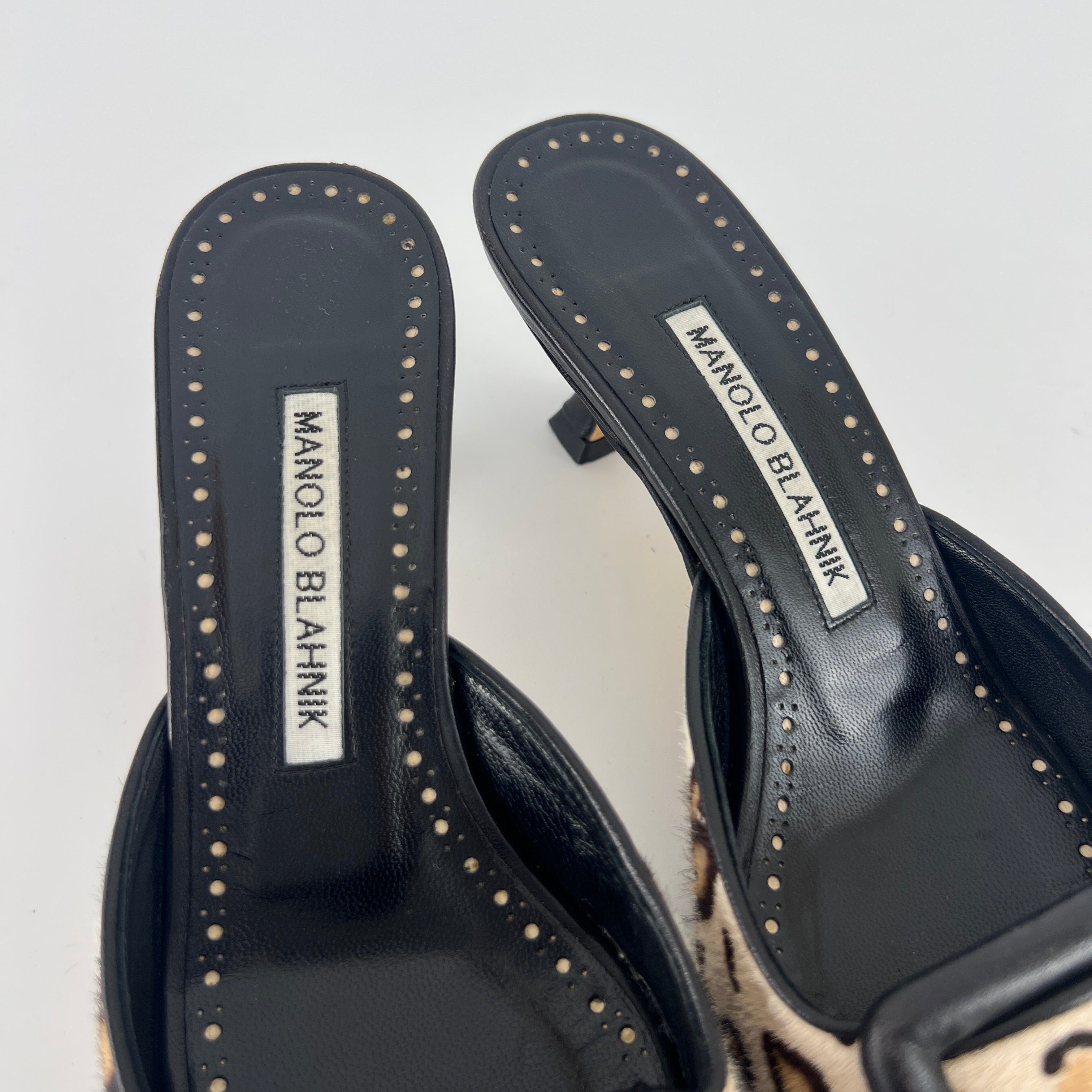 Manolo Blahnik | Calf Hair Leopard Print Black Buckle Maysale Pointed Toe Mules (35)