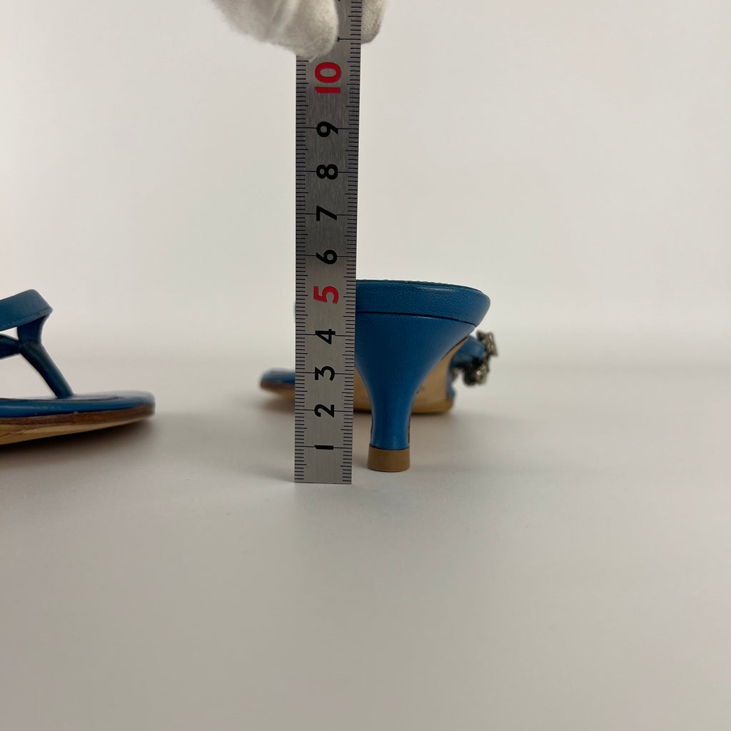 Sergio Rossi | Turquoise Stone Rhinestone Blue Flip Flop Thong Mules (35.5)