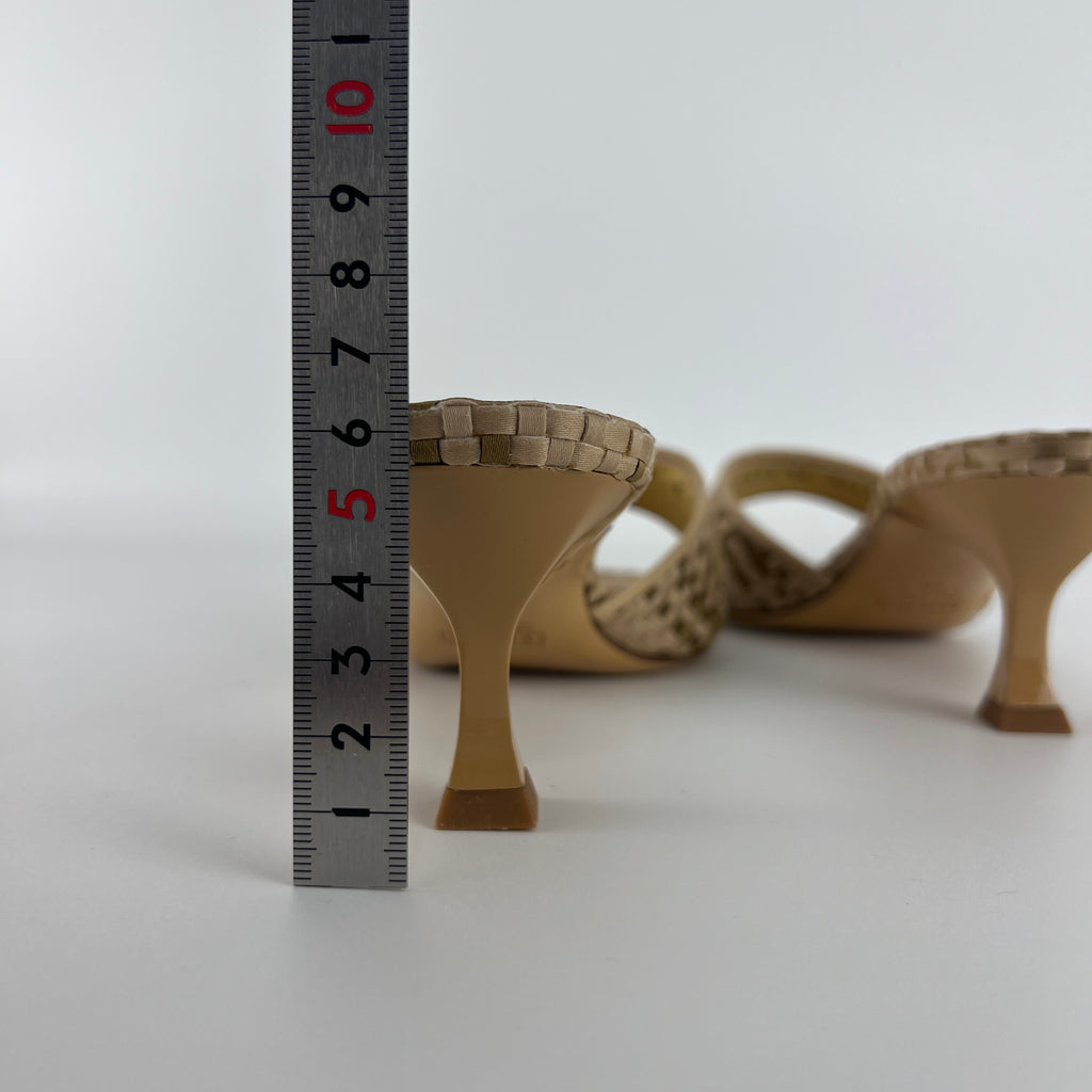 Giuseppe Zanotti | Beige Woven Intrecciato Mid Heel Open Toe Mules (38)
