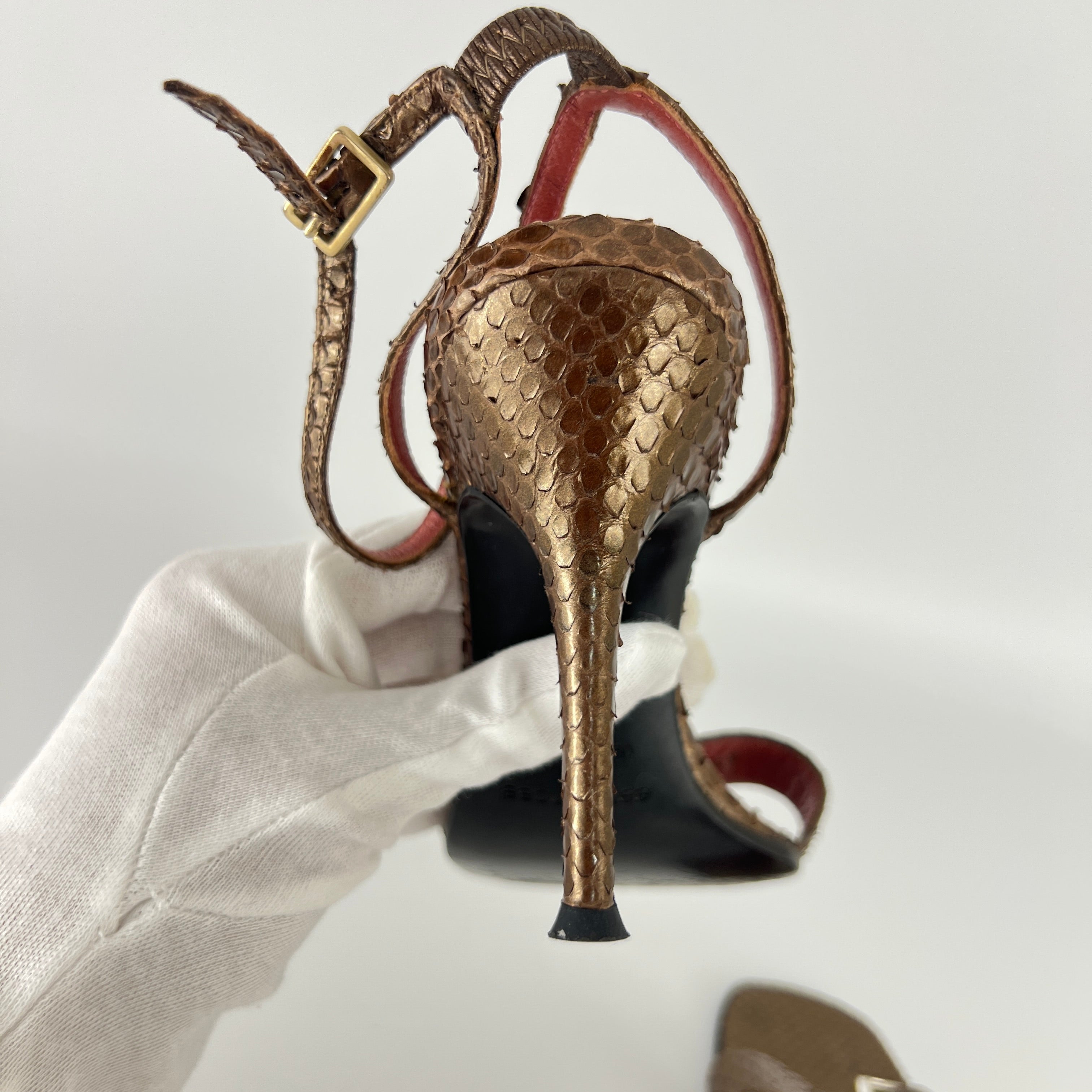 Sergio Rossi | Brown Snake Leather Crystal Buckle Strap Sandal Heels (35.5)