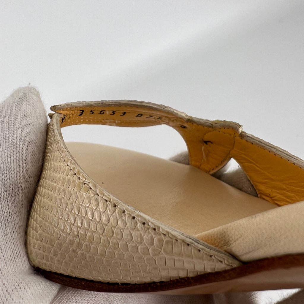Ferragamo | Exotic Leather Tulip Flower Cream Lace Up Heels (6 , 36)