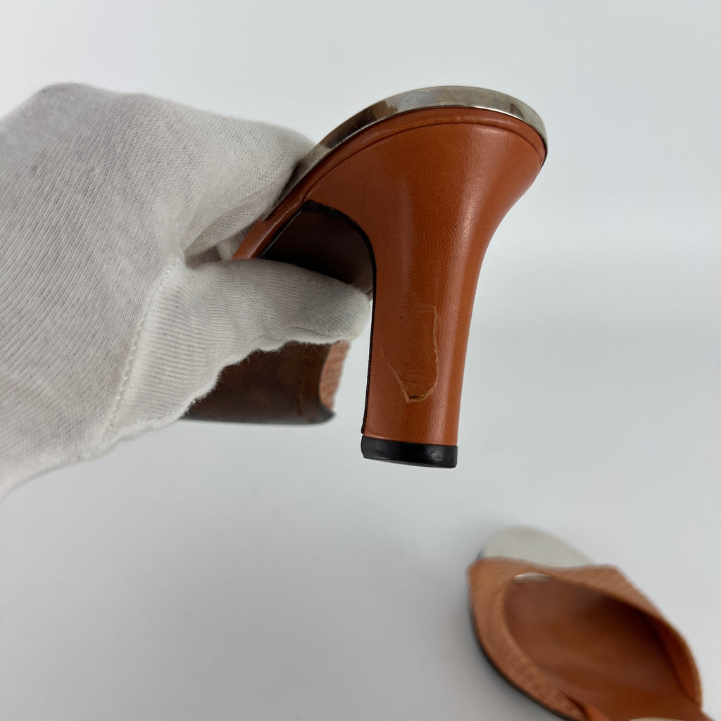 Louis Vuitton | Orange Python Leather Silver Mirror Slide Mules (36.5)
