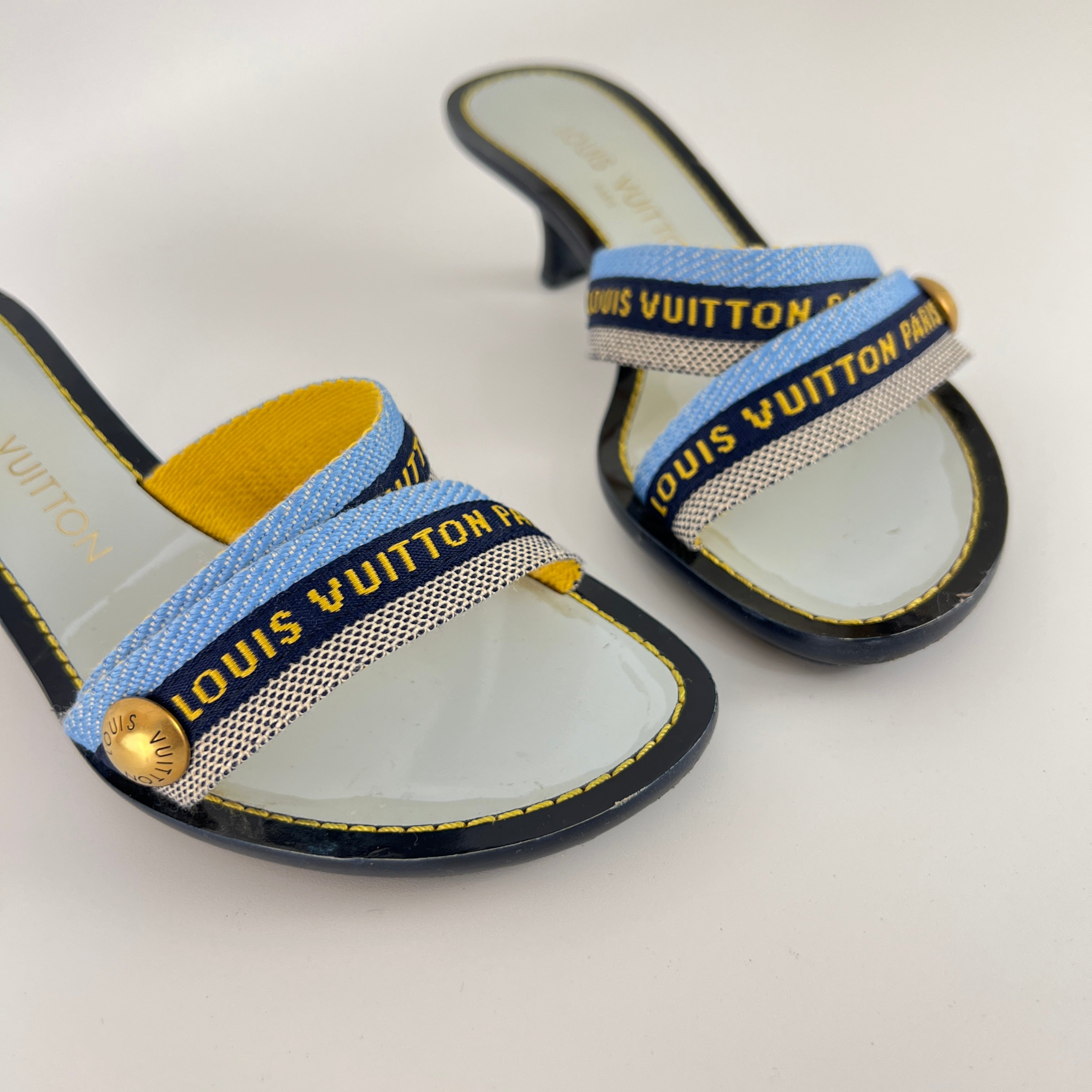 Louis Vuitton | Baby Blue Black Canvas Strappy Sandal Kitten Mules (34.5)