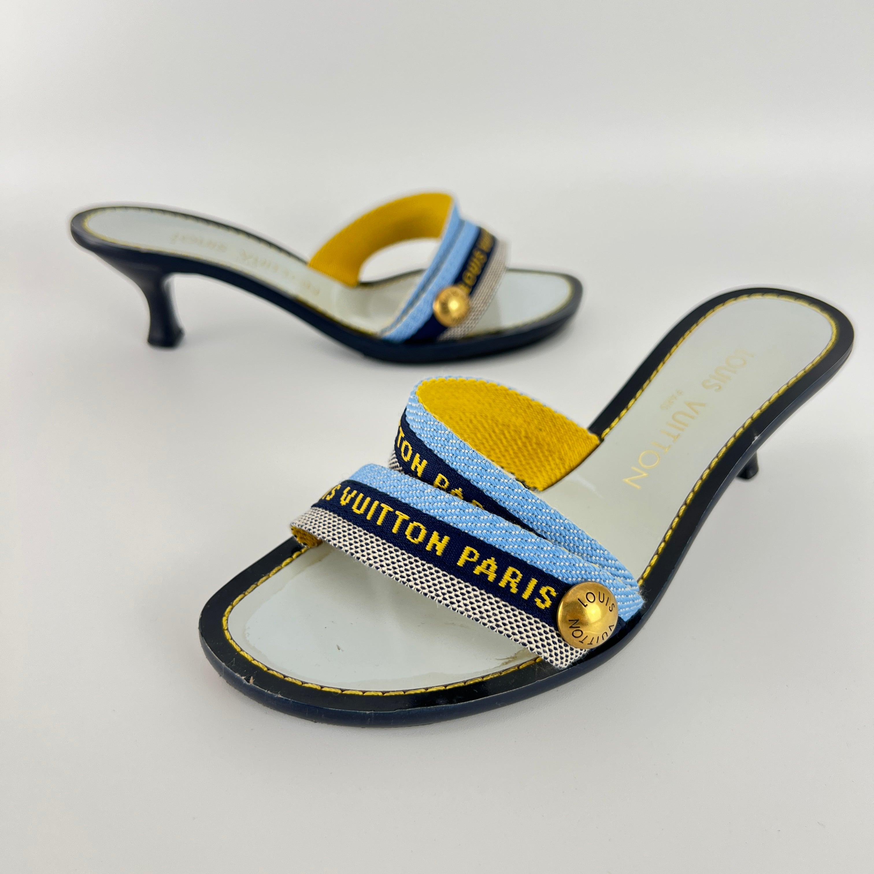 Louis Vuitton | Baby Blue Black Canvas Strappy Sandal Kitten Mules (34.5)