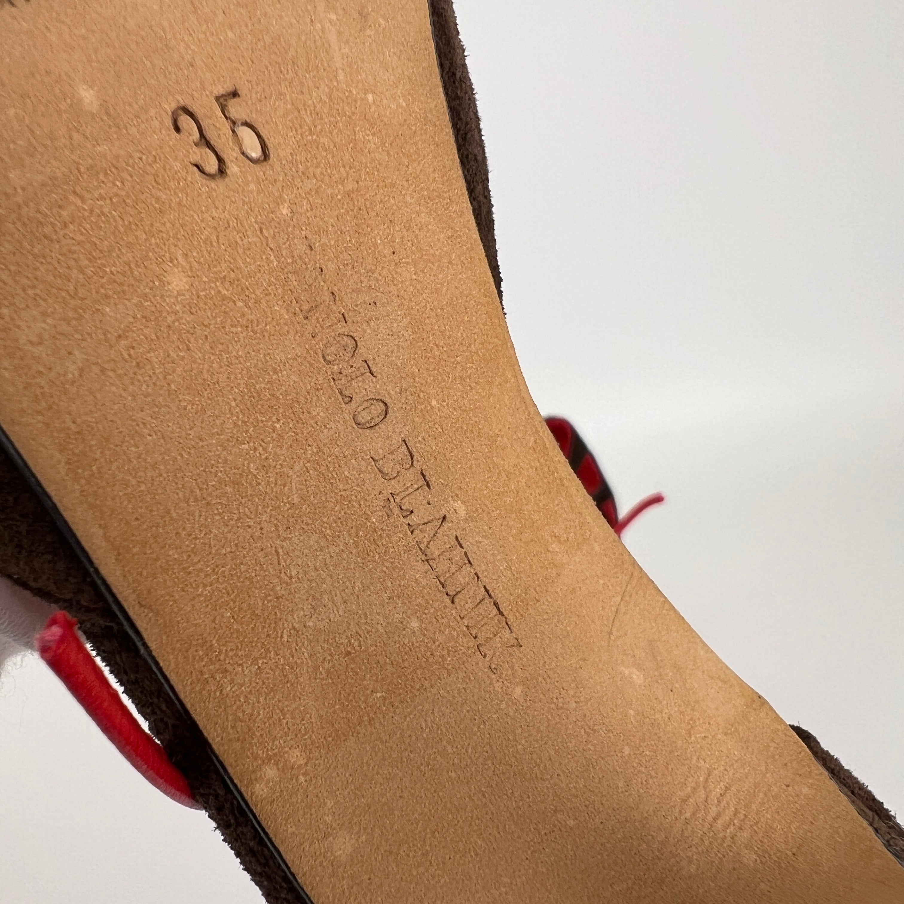 Manolo Blahnik | Brown Velour Red Leather Strap Pointed Toe Stiletto (35)